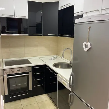Apartment Lila Vracar